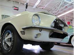 1968 Shelby GT500 (CC-1112515) for sale in Lansdale, Pennsylvania