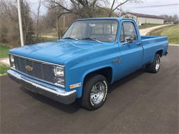 1983 Chevrolet C10 (CC-1112749) for sale in hardinsburg, Kentucky