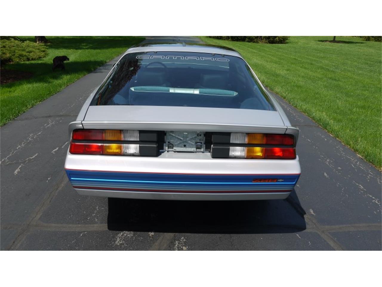 1982 Chevrolet Camaro IROC Z28 for Sale | ClassicCars.com | CC-1112864