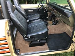 1976 International Harvester Scout II (CC-1110318) for sale in Milford, Michigan