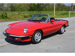 1986 Alfa Romeo Spider Veloce (CC-1113876) for sale in Cookeville, Tennessee