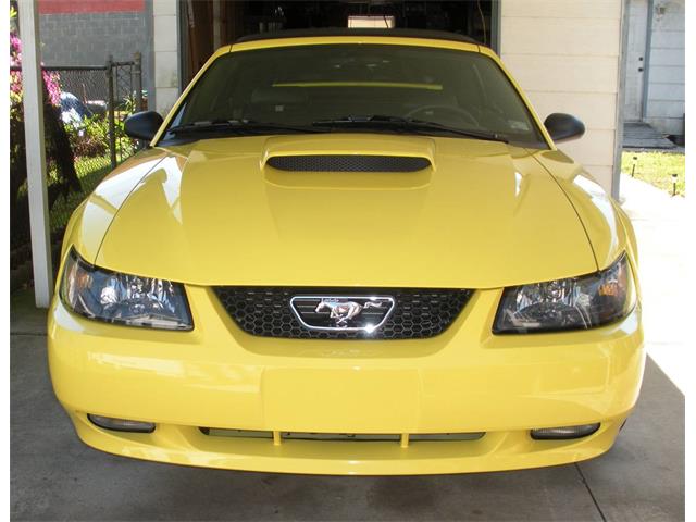 2001 Ford Mustang (CC-1114201) for sale in New Orleans, Louisiana