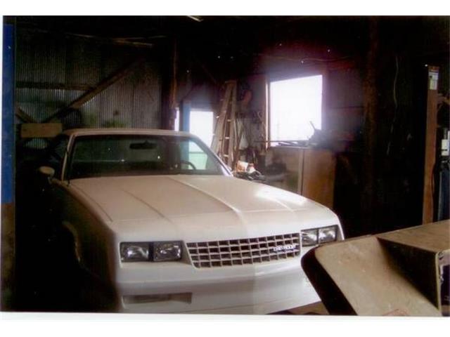 1984 Chevrolet El Camino (CC-1114953) for sale in Cadillac, Michigan