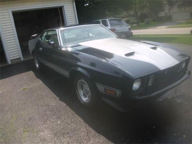 1973 Ford Mustang (CC-1115188) for sale in Cadillac, Michigan