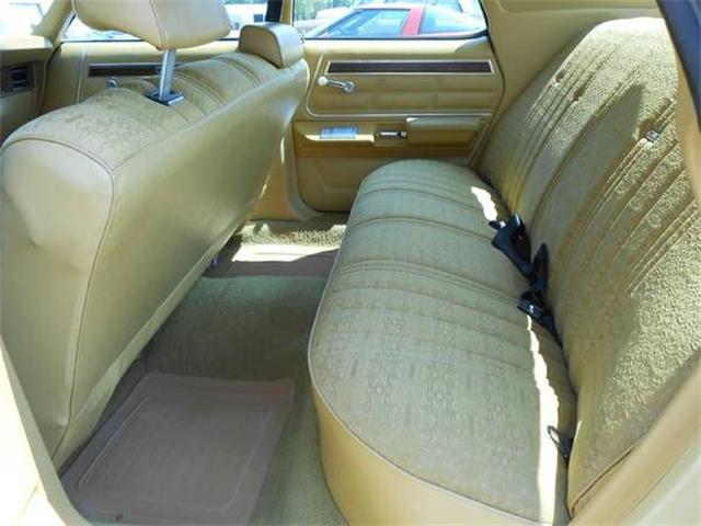 1976 Ford LTD (CC-1115252) for sale in Cadillac, Michigan