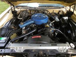 1976 Ford LTD (CC-1115252) for sale in Cadillac, Michigan