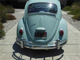 1966 Volkswagen Beetle (CC-1115665) for sale in WEST HILLS, California