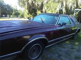 1979 Ford Thunderbird (CC-1116067) for sale in Cadillac, Michigan