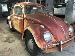 1960 Volkswagen Beetle (CC-1116149) for sale in Cadillac, Michigan