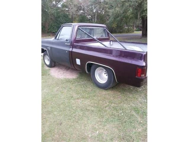 1979 Chevrolet C10 (CC-1116152) for sale in Cadillac, Michigan