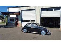 1966 Volkswagen Beetle (CC-1116478) for sale in Cadillac, Michigan