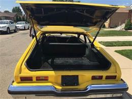 1974 Chevrolet Nova (CC-1116992) for sale in Cadillac, Michigan