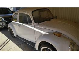 1974 Volkswagen Super Beetle (CC-1117024) for sale in Cadillac, Michigan