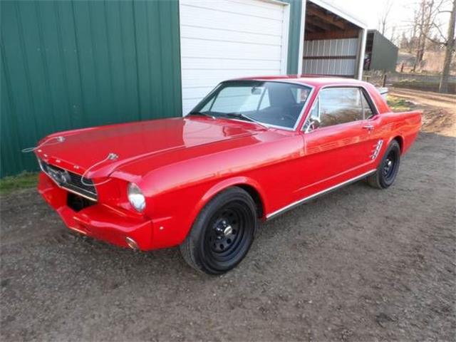 1966 Ford Mustang (CC-1117222) for sale in Cadillac, Michigan