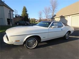 1973 Ford Mustang (CC-1117427) for sale in Cadillac, Michigan
