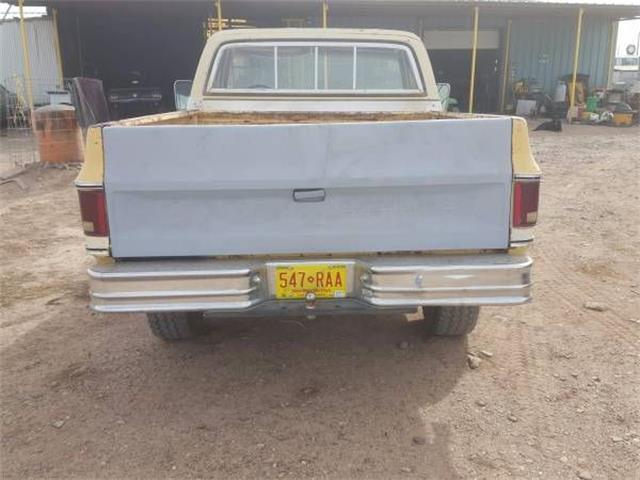 1979 Chevrolet Cheyenne (CC-1117675) for sale in Cadillac, Michigan