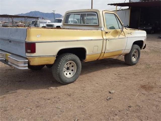 1979 Chevrolet Cheyenne (CC-1117675) for sale in Cadillac, Michigan