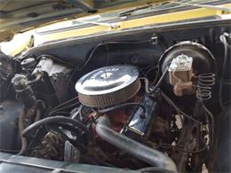 1979 Chevrolet Cheyenne (CC-1117675) for sale in Cadillac, Michigan