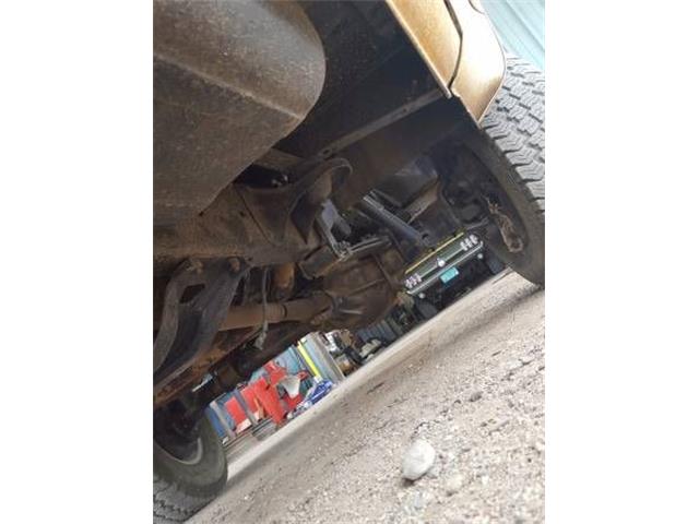 1979 Chevrolet Cheyenne (CC-1117675) for sale in Cadillac, Michigan