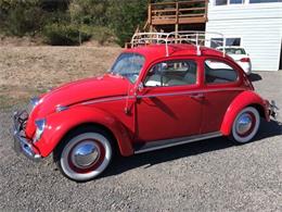 1963 Volkswagen Beetle (CC-1117970) for sale in Cadillac, Michigan