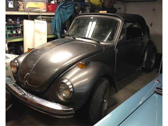 1979 Volkswagen Super Beetle (CC-1118136) for sale in Cadillac, Michigan