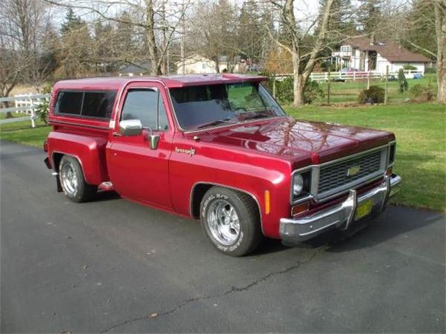1974 Chevrolet C10 (CC-1118188) for sale in Cadillac, Michigan