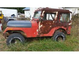 1974 Jeep CJ5 (CC-1118289) for sale in Cadillac, Michigan