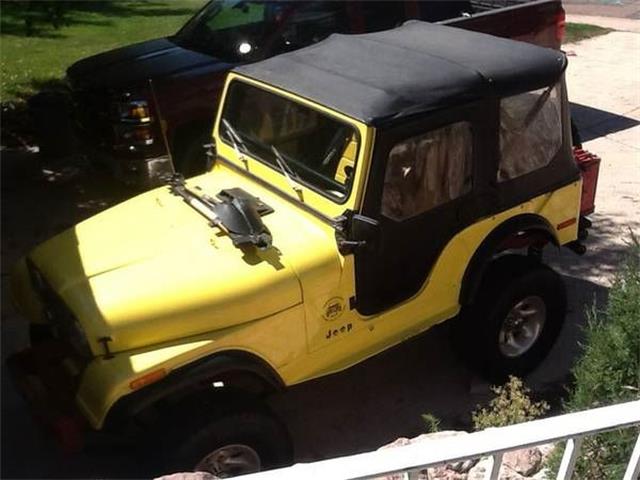 1977 Jeep CJ5 (CC-1118463) for sale in Cadillac, Michigan