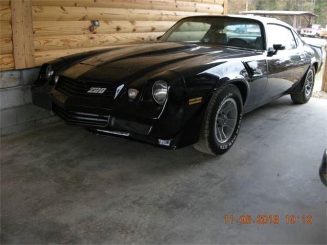 1980 Chevrolet Camaro (CC-1118648) for sale in Cadillac, Michigan