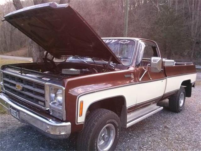1979 Chevrolet Scottsdale (CC-1118813) for sale in Cadillac, Michigan