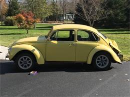 1971 Volkswagen Super Beetle (CC-1118984) for sale in Cadillac, Michigan