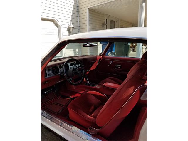 1978 Pontiac Firebird Trans Am (CC-1110900) for sale in Amherst, Ohio