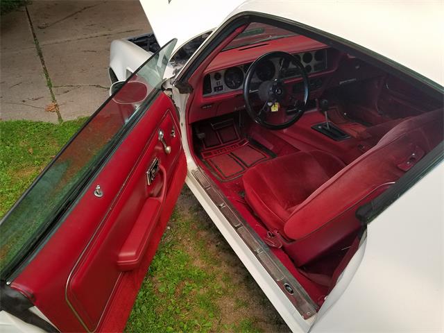 1978 Pontiac Firebird Trans Am (CC-1110900) for sale in Amherst, Ohio