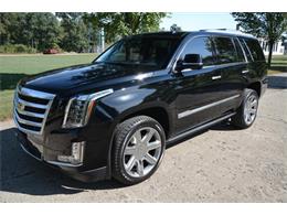 2016 Cadillac Escalade (CC-1110905) for sale in Shelby Township, Michigan