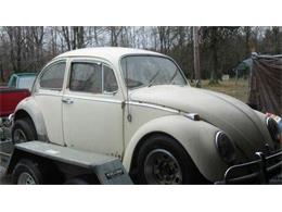 1966 Volkswagen Beetle (CC-1119117) for sale in Cadillac, Michigan