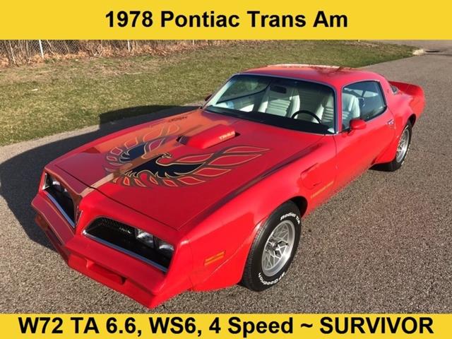 1978 Pontiac Firebird for Sale | ClassicCars.com | CC-1110912
