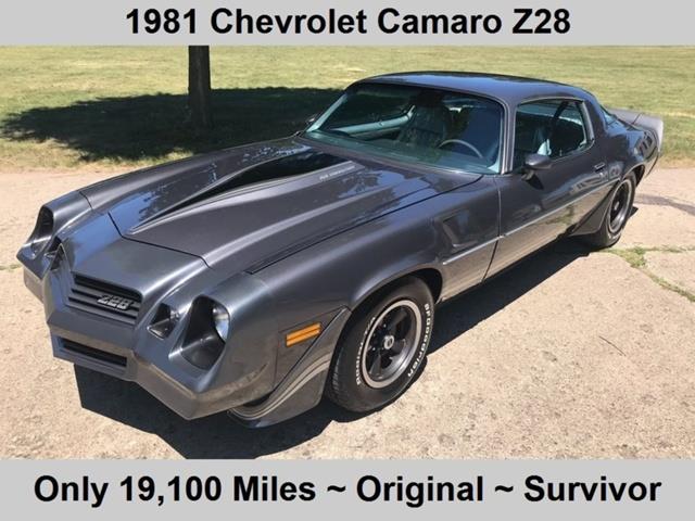 1981 Chevrolet Camaro (CC-1110919) for sale in Shelby Township, Michigan