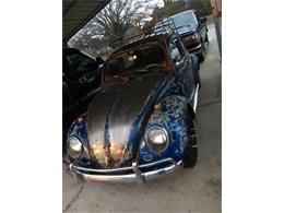 1964 Volkswagen Beetle (CC-1119260) for sale in Cadillac, Michigan
