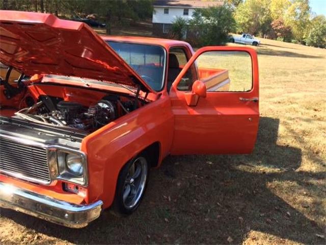 1975 Chevrolet C10 (CC-1119350) for sale in Cadillac, Michigan