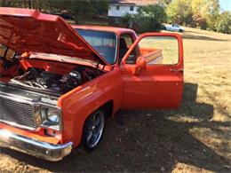 1975 Chevrolet C10 (CC-1119350) for sale in Cadillac, Michigan