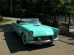 1955 Ford Thunderbird (CC-1119376) for sale in Cadillac, Michigan
