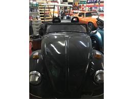 1978 Volkswagen Beetle (CC-1119407) for sale in Cadillac, Michigan