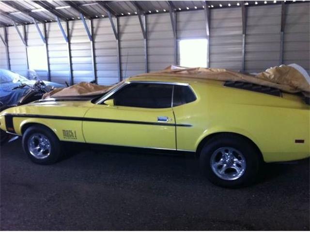 1971 Ford Mustang (CC-1119519) for sale in Cadillac, Michigan