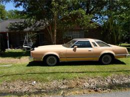 1978 Ford Thunderbird (CC-1119805) for sale in Cadillac, Michigan