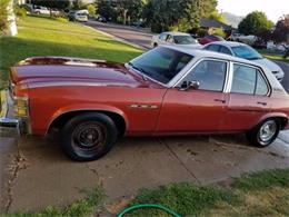 1976 Buick Skylark (CC-1121431) for sale in Cadillac, Michigan