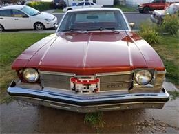 1976 Buick Skylark (CC-1121431) for sale in Cadillac, Michigan