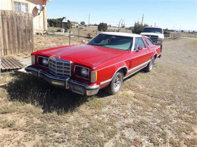1979 Ford Thunderbird (CC-1121904) for sale in Cadillac, Michigan