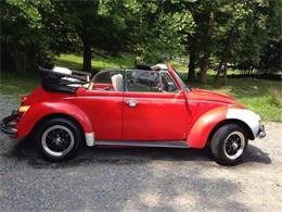 1973 Volkswagen Super Beetle (CC-1121999) for sale in Cadillac, Michigan