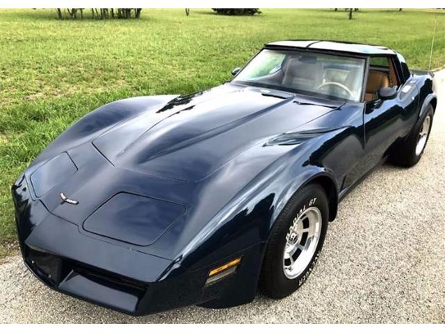 1981 Chevrolet Corvette (CC-1122377) for sale in Cadillac, Michigan