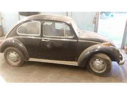 1969 Volkswagen Beetle (CC-1122664) for sale in Cadillac, Michigan